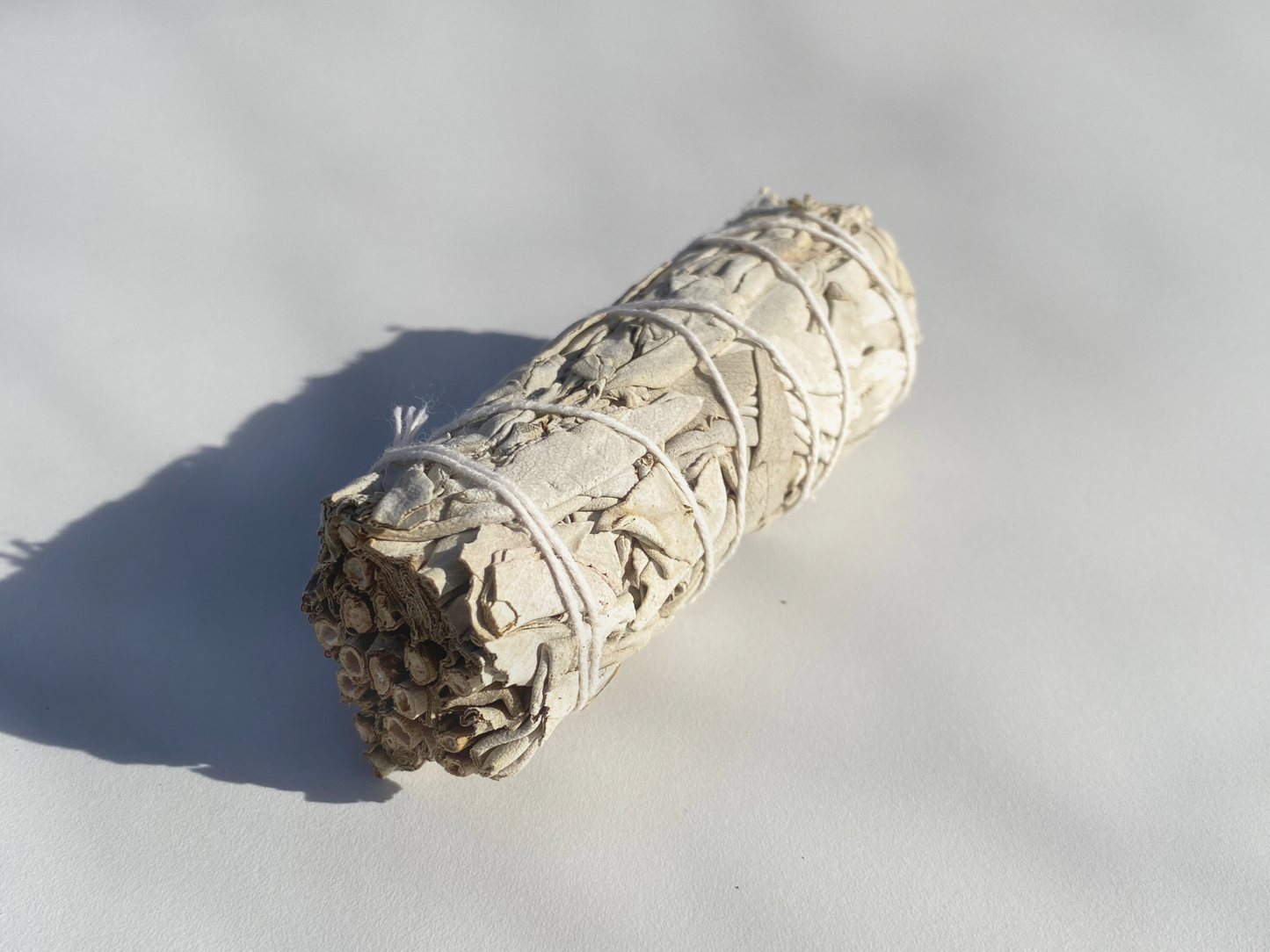 Atado de Salvia Blanca (Salvia Apiana) México
