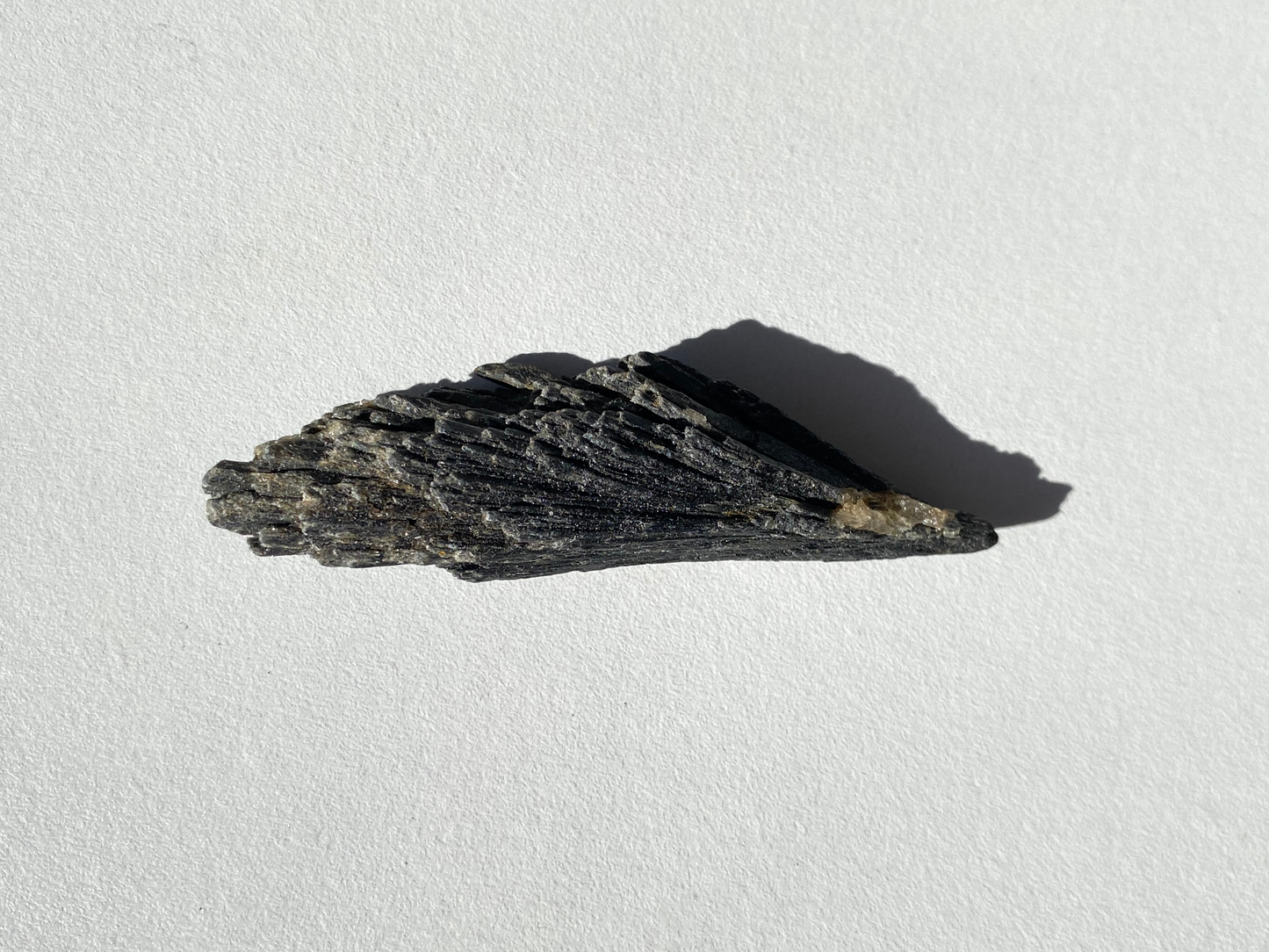 Cianita Negra "Escoba de Bruja"