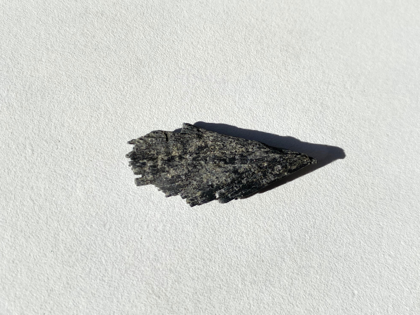 Cianita Negra "Escoba de Bruja"